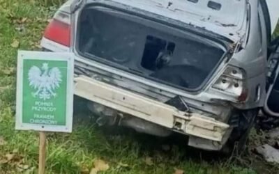 Une BMW Série 3 E46 enregistrée comme monument