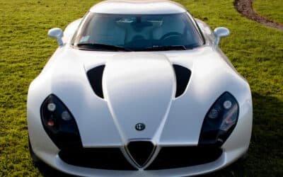 Top 5 des Viper difficiles à reconnaitre