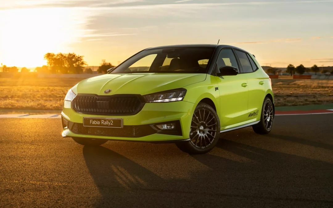 Vous ne pourrez pas acheter cette Skoda Fabia Rally2